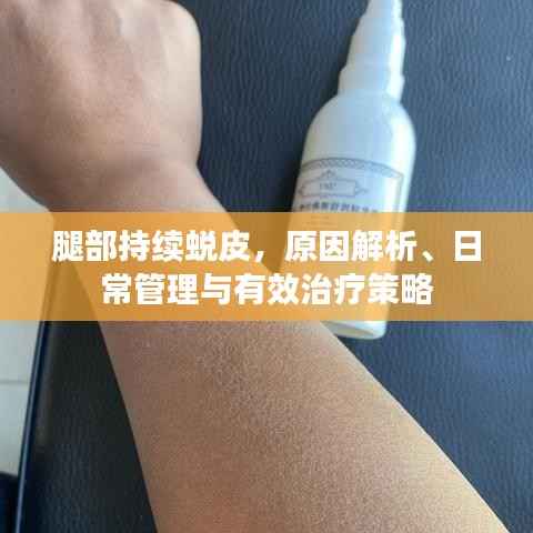 腿部持续蜕皮,原因解析、日常管理与有效治疗策略