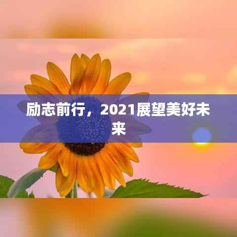 励志前行，2021展望美好未来