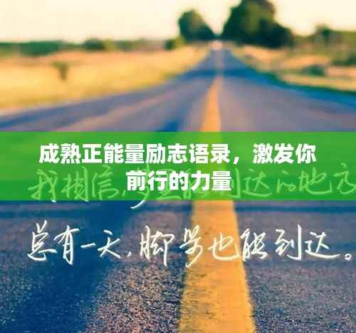 成熟正能量励志语录,激发你前行的力量