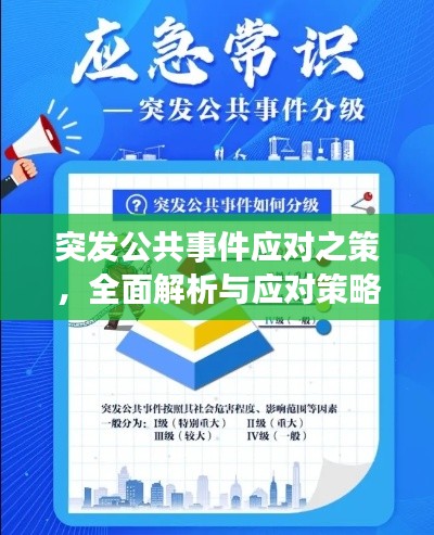 虫蚀鸟步 第4页