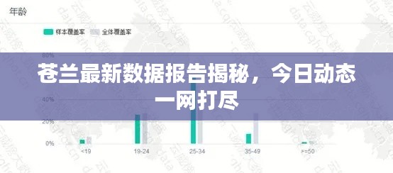 苍兰最新数据报告揭秘，今日动态一网打尽