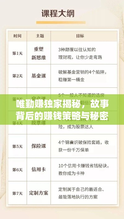 唯勤赚独家揭秘，故事背后的赚钱策略与秘密