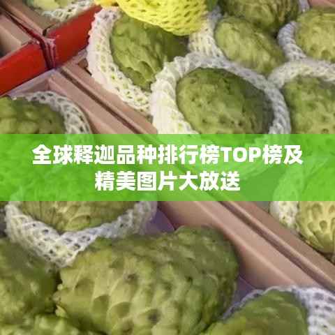 全球释迦品种排行榜TOP榜及精美图片大放送