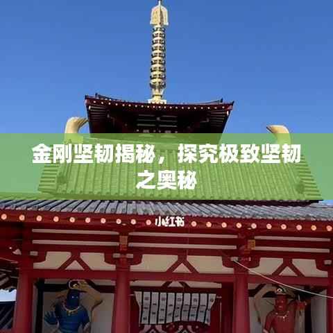 金刚坚韧揭秘,探究极致坚韧之奥秘