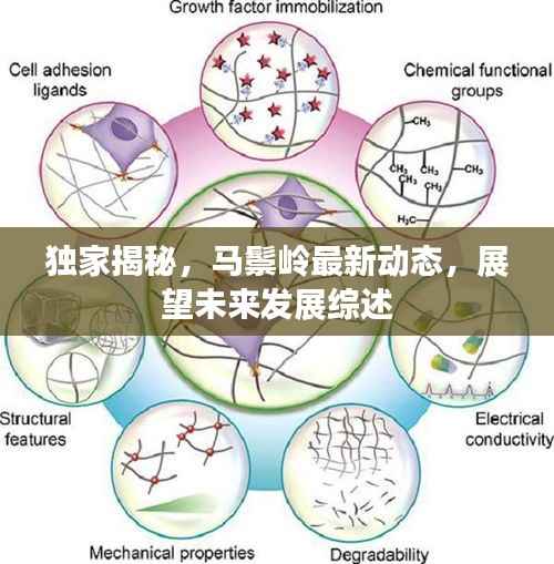 独家揭秘,马鬃岭最新动态,展望未来发展综述