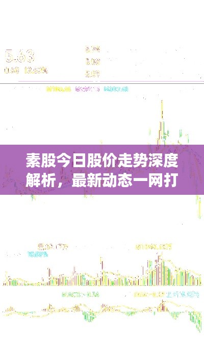 素股今日股价走势深度解析，最新动态一网打尽