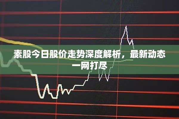 素股今日股价走势深度解析,最新动态一网打尽