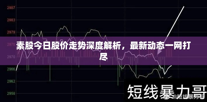 素股今日股价走势深度解析,最新动态一网打尽