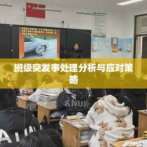 班级突发事处理分析与应对策略
