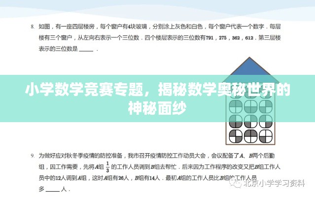 小学数学竞赛专题，揭秘数学奥秘世界的神秘面纱