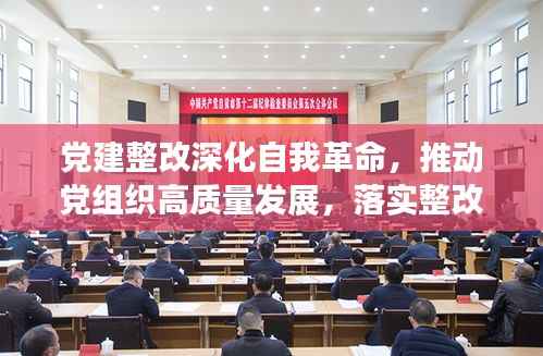 党建整改深化自我革命，推动党组织高质量发展，落实整改见实效