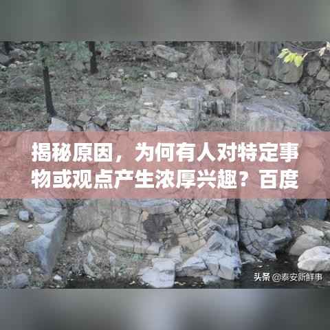 揭秘原因，为何有人对特定事物或观点产生浓厚兴趣？百度揭秘开始！