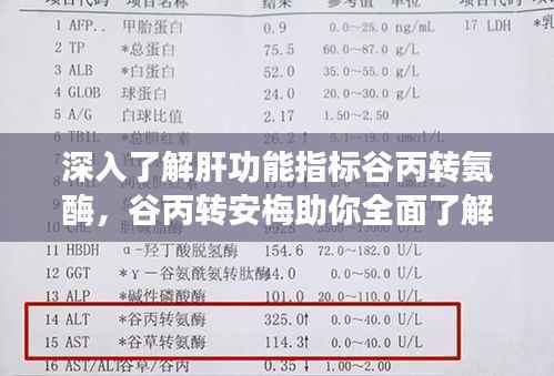 深入了解肝功能指标谷丙转氨酶，谷丙转安梅助你全面了解肝功能健康状态