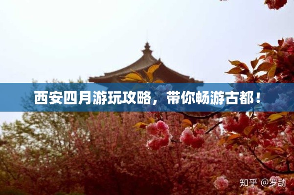 西安四月游玩攻略，带你畅游古都！