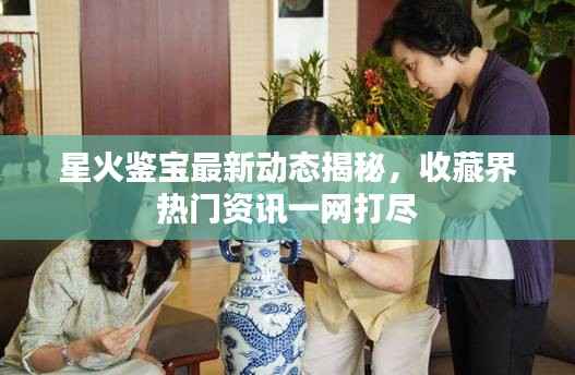 星火鉴宝最新动态揭秘，收藏界热门资讯一网打尽