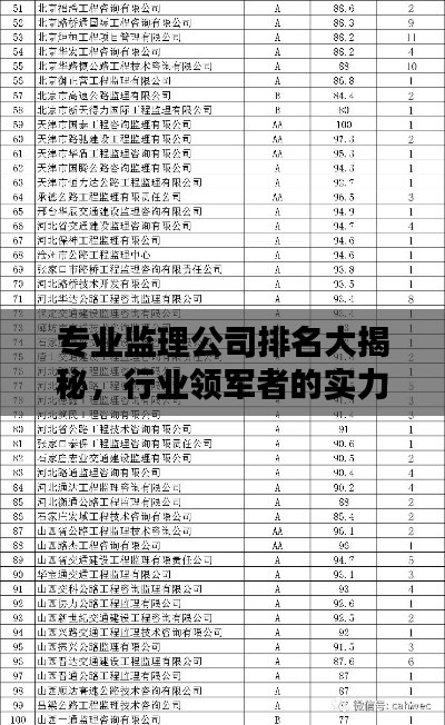 专业监理公司排名大揭秘，行业领军者的实力与影响力榜单！