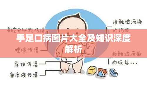 手足口病图片大全及知识深度解析