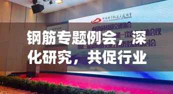 钢筋专题例会，深化研究，共促行业创新发展