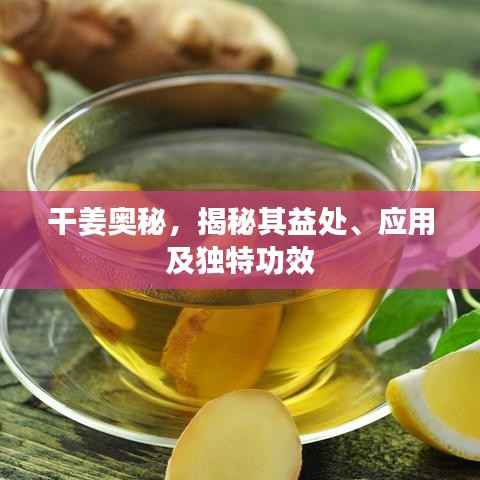 干姜奥秘,揭秘其益处、应用及独特功效