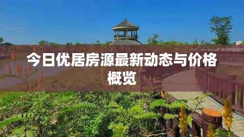 今日优居房源最新动态与价格概览