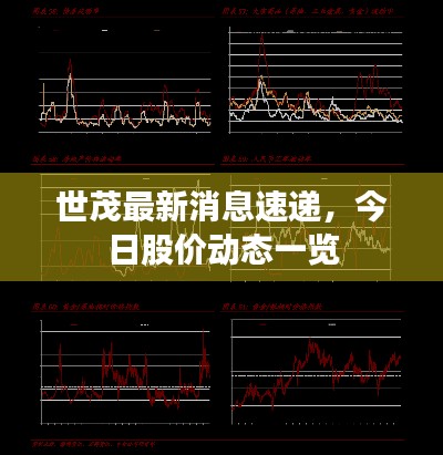 世茂最新消息速递，今日股价动态一览