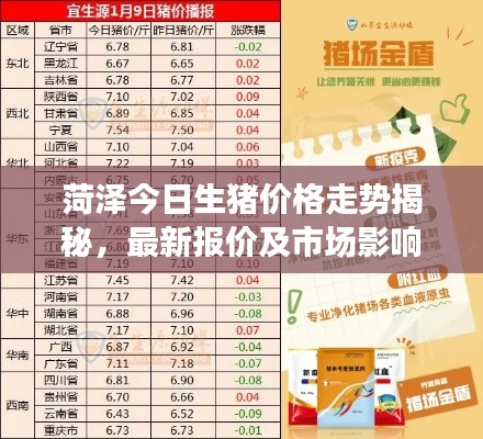 瑞雪纷飞 第4页