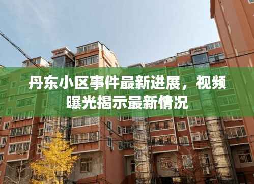 丹东小区事件最新进展，视频曝光揭示最新情况