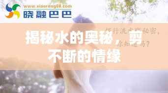 揭秘水的奥秘,剪不断的情缘