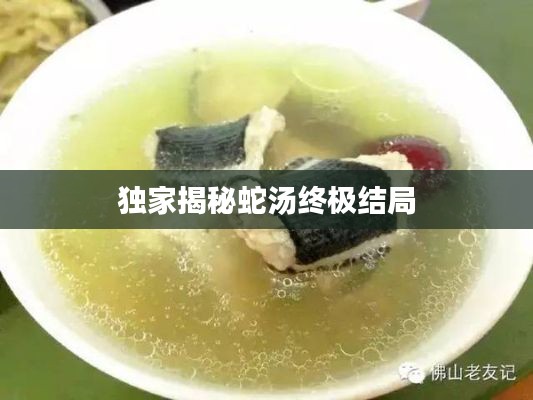 刻画入微 第4页