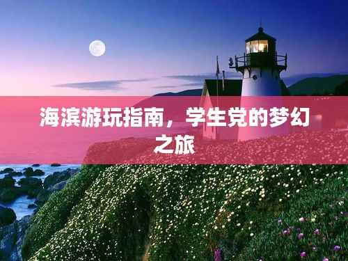海滨游玩指南,学生党的梦幻之旅