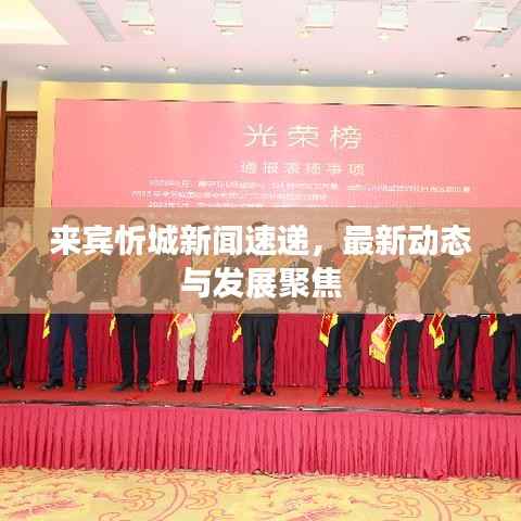 来宾忻城新闻速递,最新动态与发展聚焦