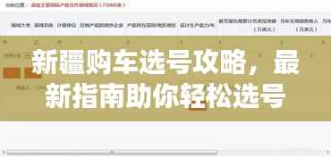 新疆购车选号攻略，最新指南助你轻松选号