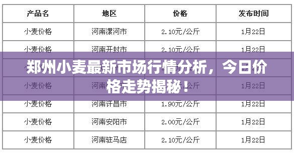 郑州小麦最新市场行情分析,今日价格走势揭秘!