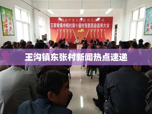 王沟镇东张村新闻热点速递