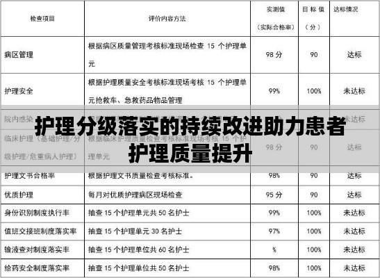 护理分级落实的持续改进助力患者护理质量提升