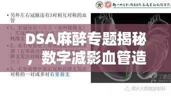 DSA麻醉专题揭秘,数字减影血管造影术中的麻醉技术应用深度探讨