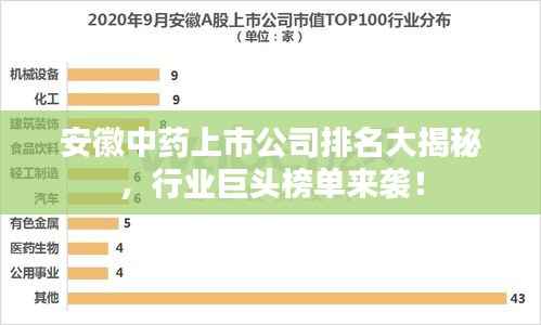 安徽中药上市公司排名大揭秘，行业巨头榜单来袭！