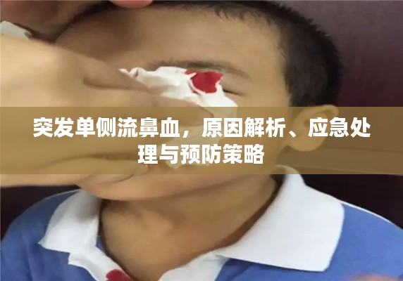突发单侧流鼻血，原因解析、应急处理与预防策略