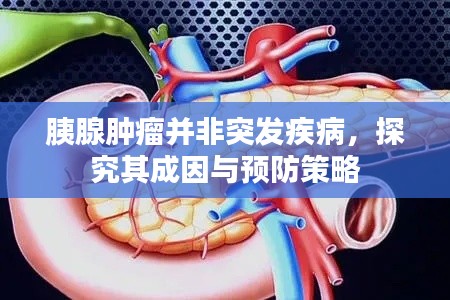 胰腺肿瘤并非突发疾病，探究其成因与预防策略
