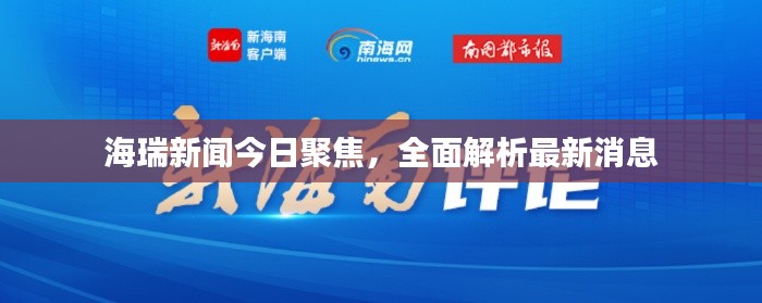海瑞新闻今日聚焦,全面解析最新消息