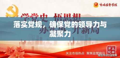 落实党规,确保党的领导力与凝聚力