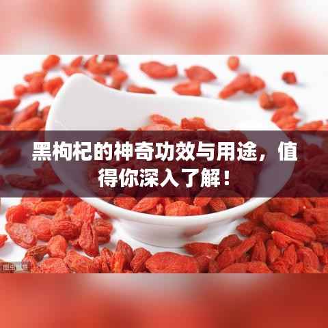 黑枸杞的神奇功效与用途，值得你深入了解！