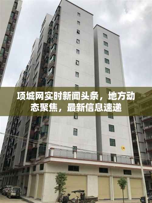 项城网实时新闻头条，地方动态聚焦，最新信息速递