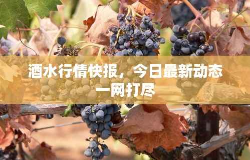 酒水行情快报，今日最新动态一网打尽
