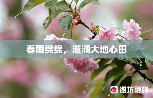 春雨绵绵，滋润大地心田