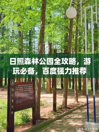 日照森林公园全攻略,游玩必备,百度强力推荐!