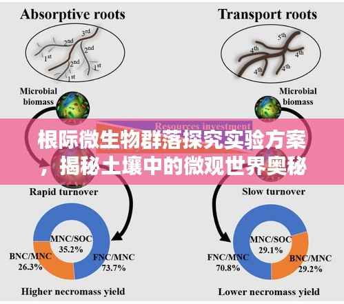 根际微生物群落探究实验方案,揭秘土壤中的微观世界奥秘