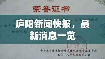 庐阳新闻快报,最新消息一览