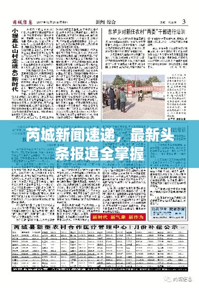 芮城新闻速递，最新头条报道全掌握