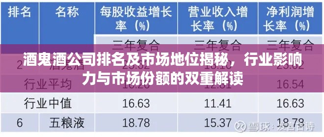 酒鬼酒公司排名及市场地位揭秘，行业影响力与市场份额的双重解读